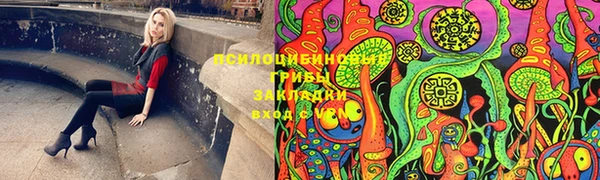 трава Арсеньев