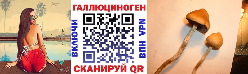 Псилоцибиновые грибы прущие грибы Свирск